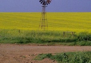 It's About the Journey 